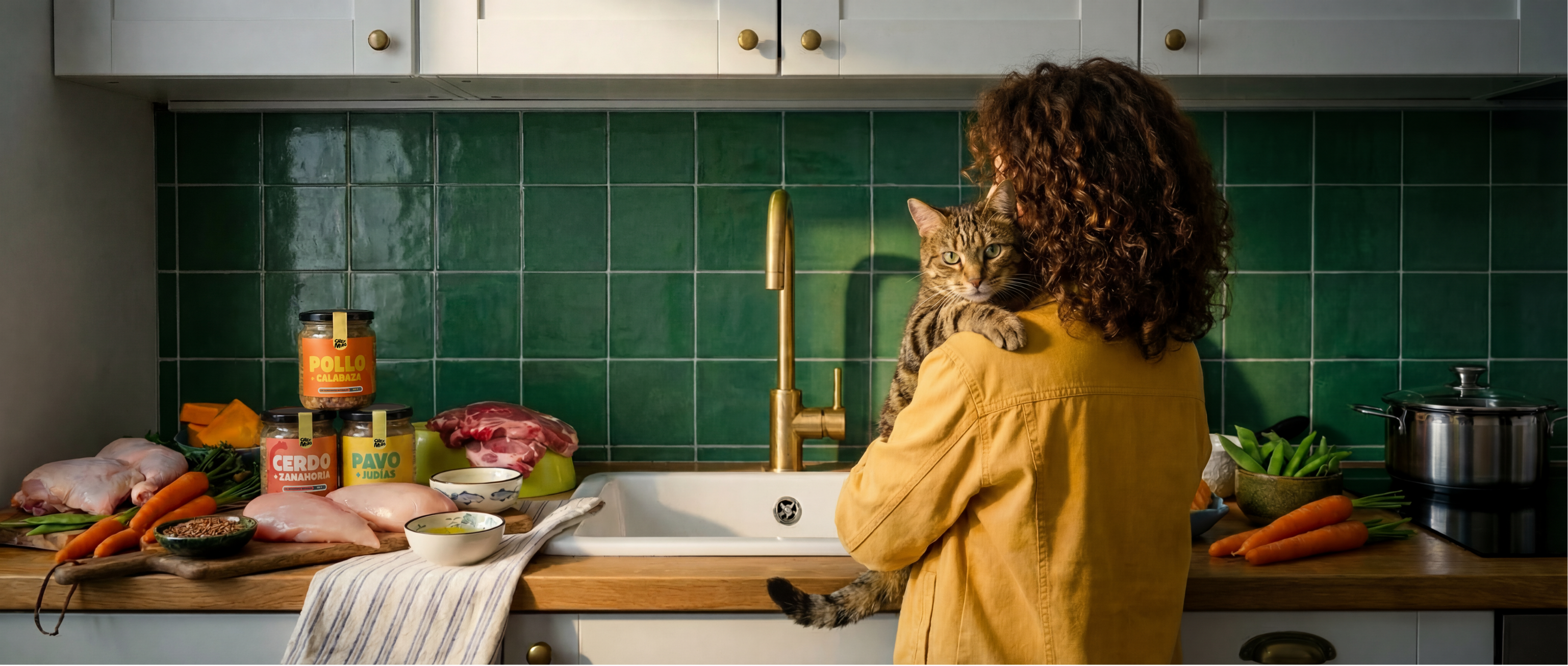 Comida Natural vs Pienso para Gatos: La Comparativa Honesta que Nadie Te Había Hecho